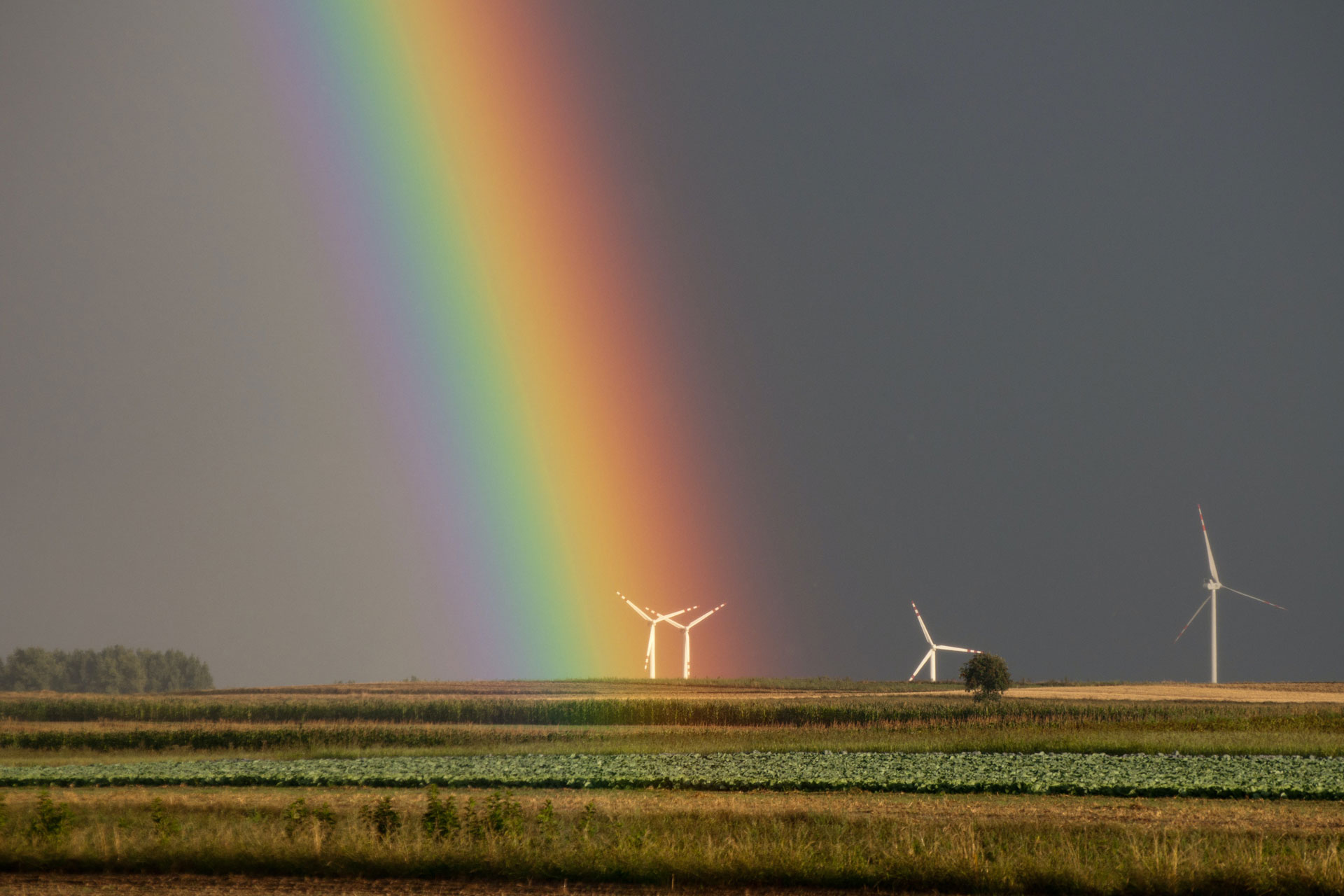 Windräder mit Regenbogen